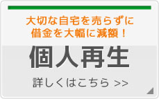 大切な自宅を売らずに借金を大幅に減額！　個人再生